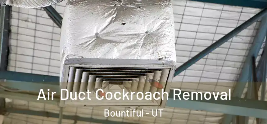 Air Duct Cockroach Removal Bountiful - UT