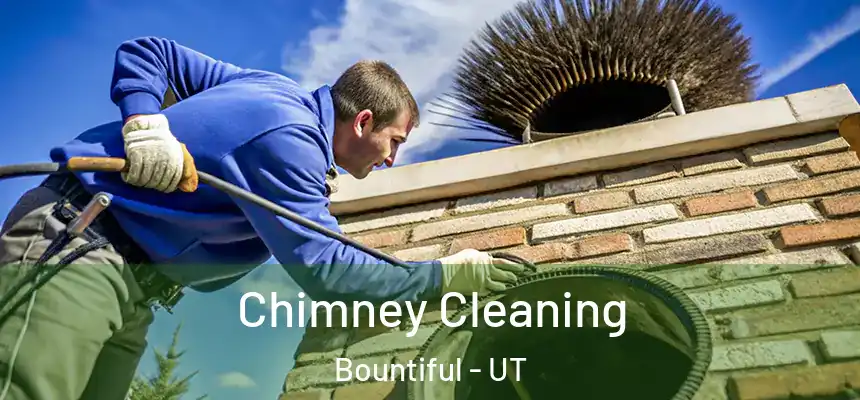 Chimney Cleaning Bountiful - UT