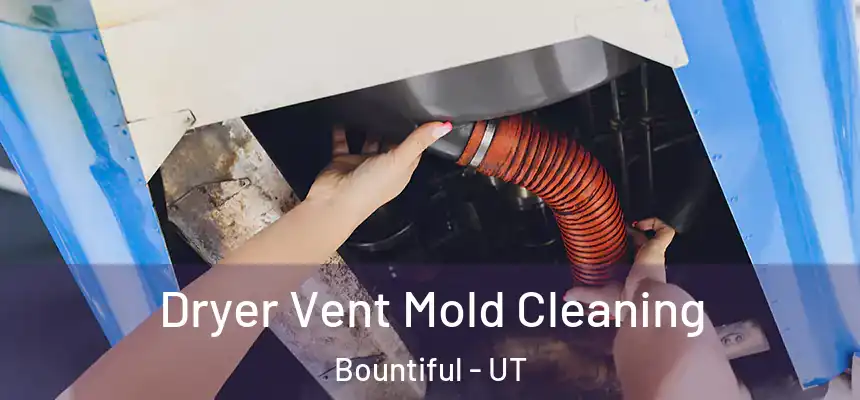  Dryer Vent Mold Cleaning Bountiful - UT
