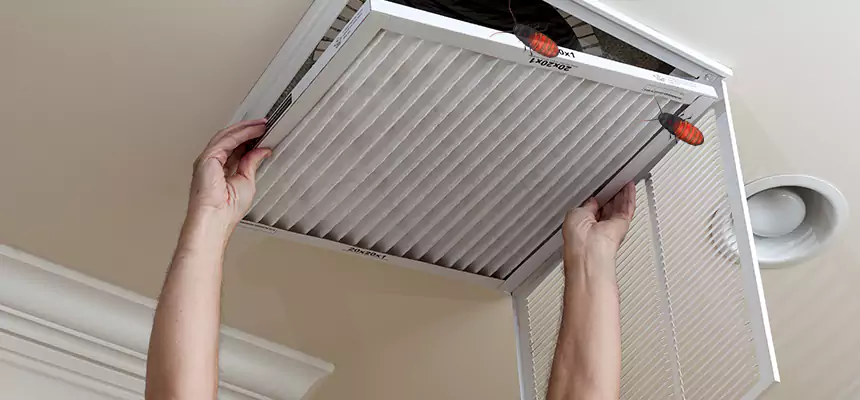 Preventive Cockroach-Proofing for Ducts in Bountiful
