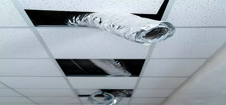 Affordable HVAC Sanitizing After Pest Removal in Bountiful