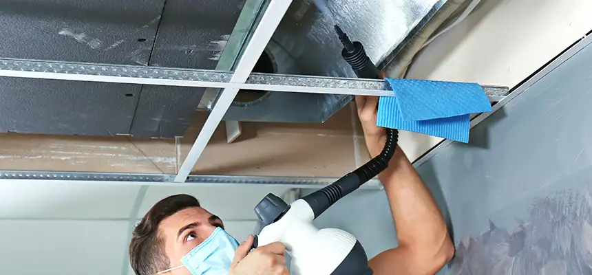 Our Air Duct Rodent Removal Services in Bountiful, UT