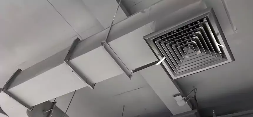 Restorative Allergy Relief Vent Cleaning – Coil, Blower & Housing Detail in Bountiful