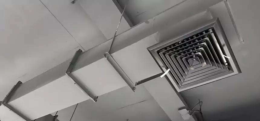 Our Rodent Droppings In Vents Services in Bountiful, UT