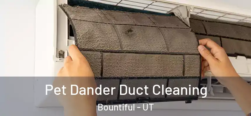 Pet Dander Duct Cleaning Bountiful - UT