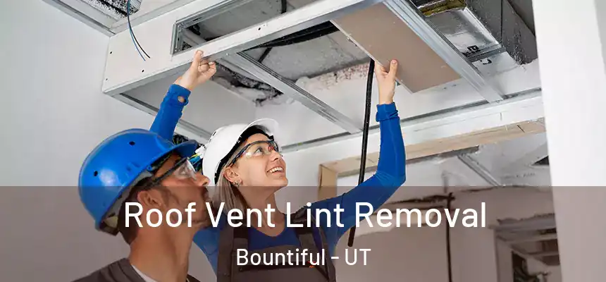 Roof Vent Lint Removal Bountiful - UT