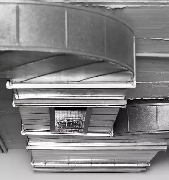 Professional Air Duct Pet Hair Removal in Bountiful, UT