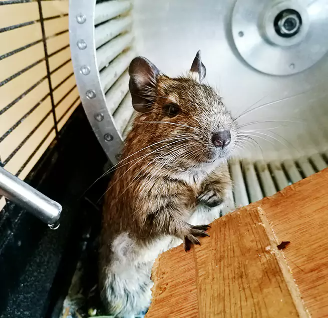 Why Homeowners & Businesses Trust Us Bountiful, UT