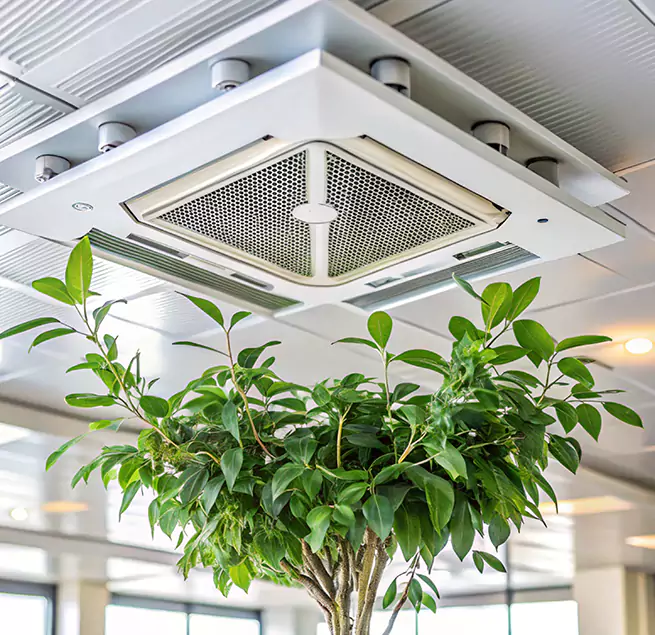 Why Homeowners & Businesses Trust Us in Bountiful, UT?