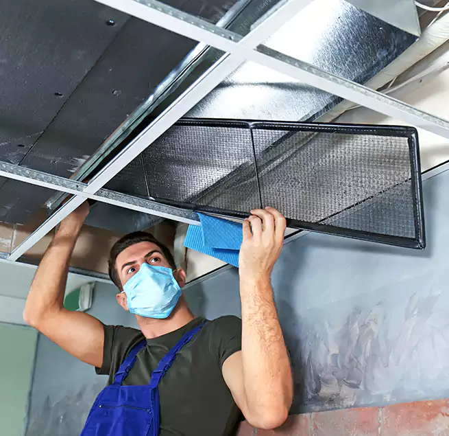 Why Homeowners Businesses Trust Us in Bountiful, UT